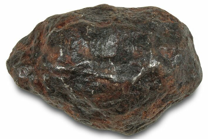 Canyon Diablo Iron Meteorite ( g) - Arizona #319641